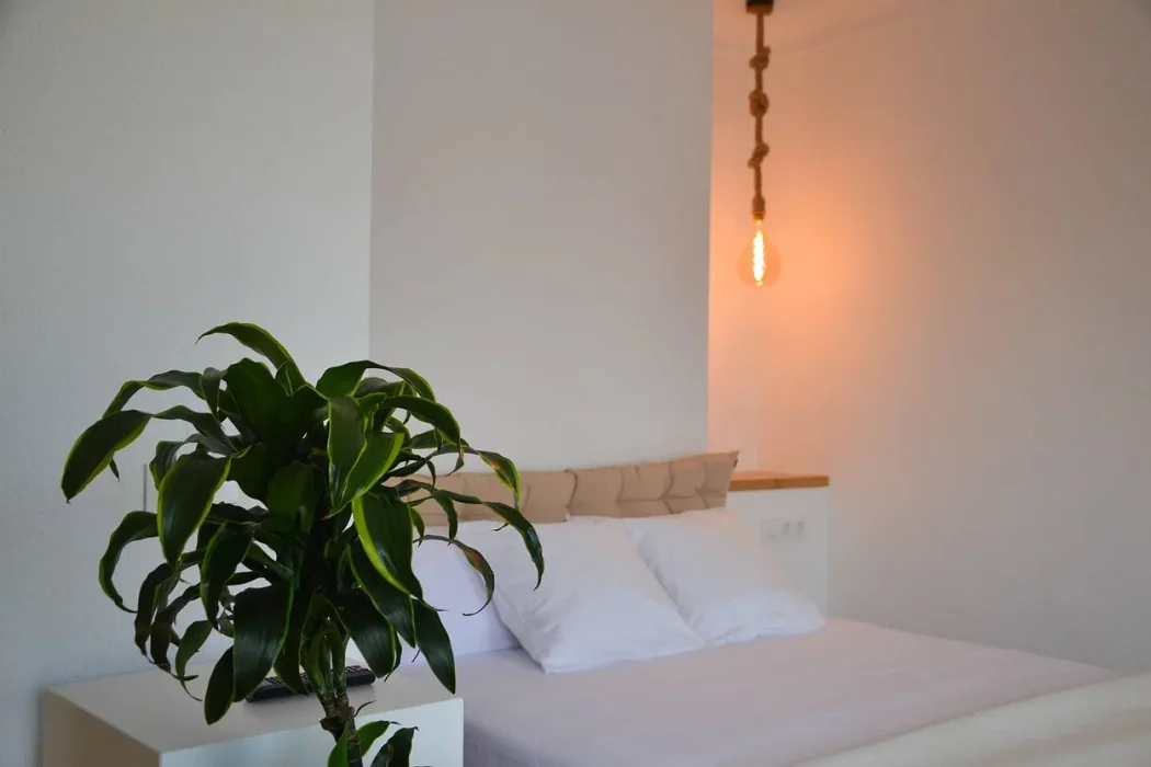 Apartament La Font Vella